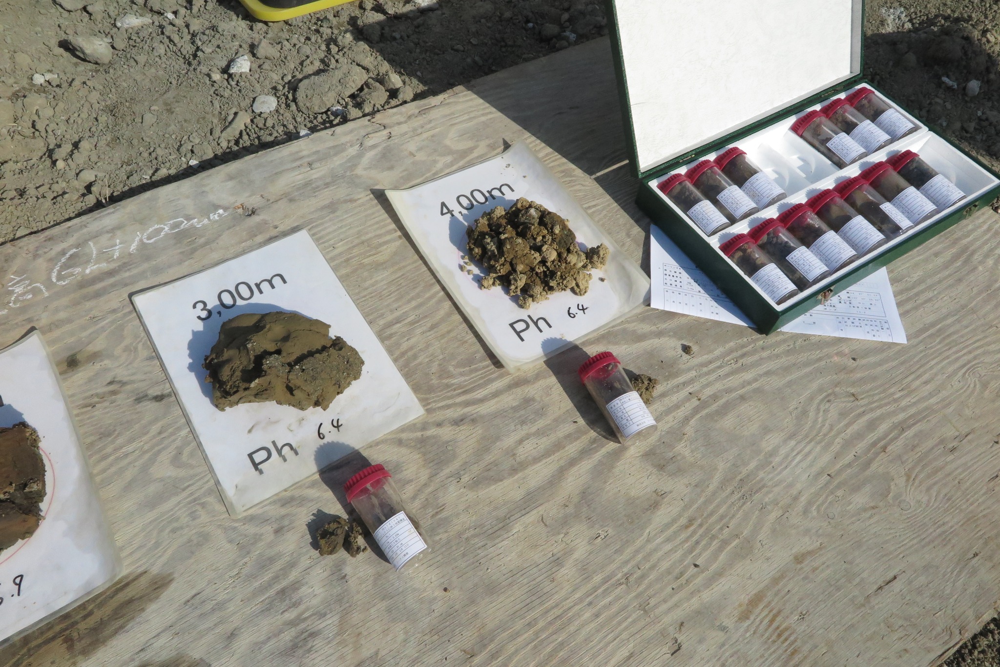 404303721_789732172958762_2494